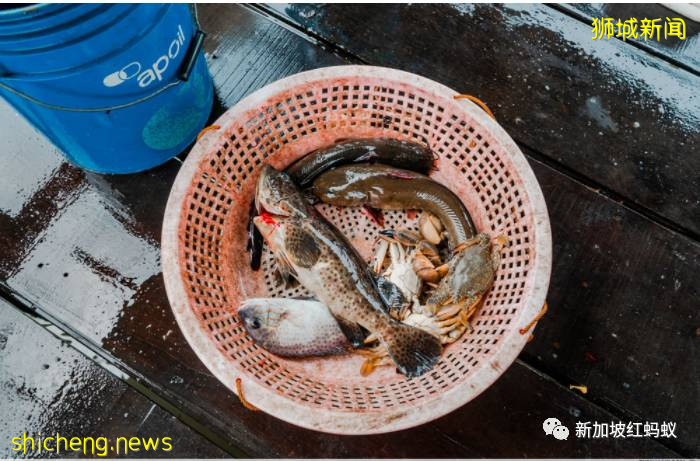 新加坡岛上还有一个小渔村　这里没水没电没厕所