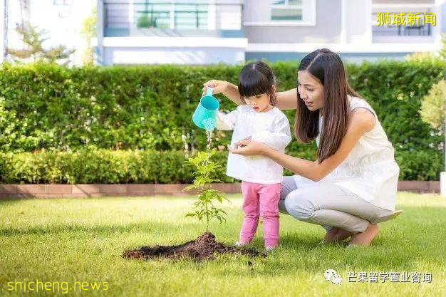 由幼兒園到大學新加坡全階段教育介紹