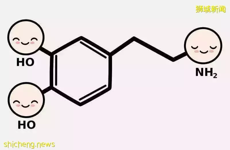 如何有效控制留学生在新加坡的内外压力