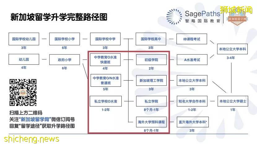 新加坡 O 水准升学方向全面解析