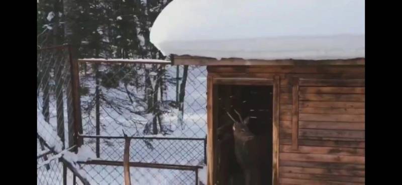 刷屏！中国下了第一场雪，我在新加坡酸了