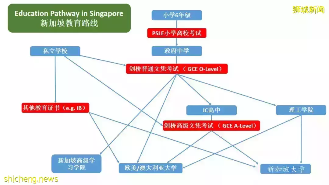 为什么初中毕业，可以直接去新加坡读大学