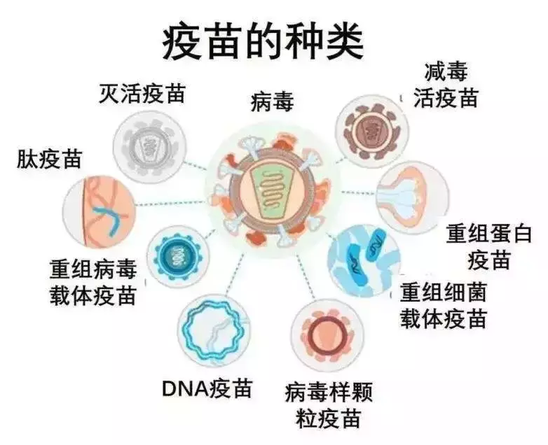 新加坡即将批准Novavax疫苗 作为非mRNA追加剂