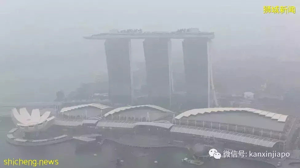 新加坡频下暴雨是因为这个现象，下半年减少后雾霾可能重现