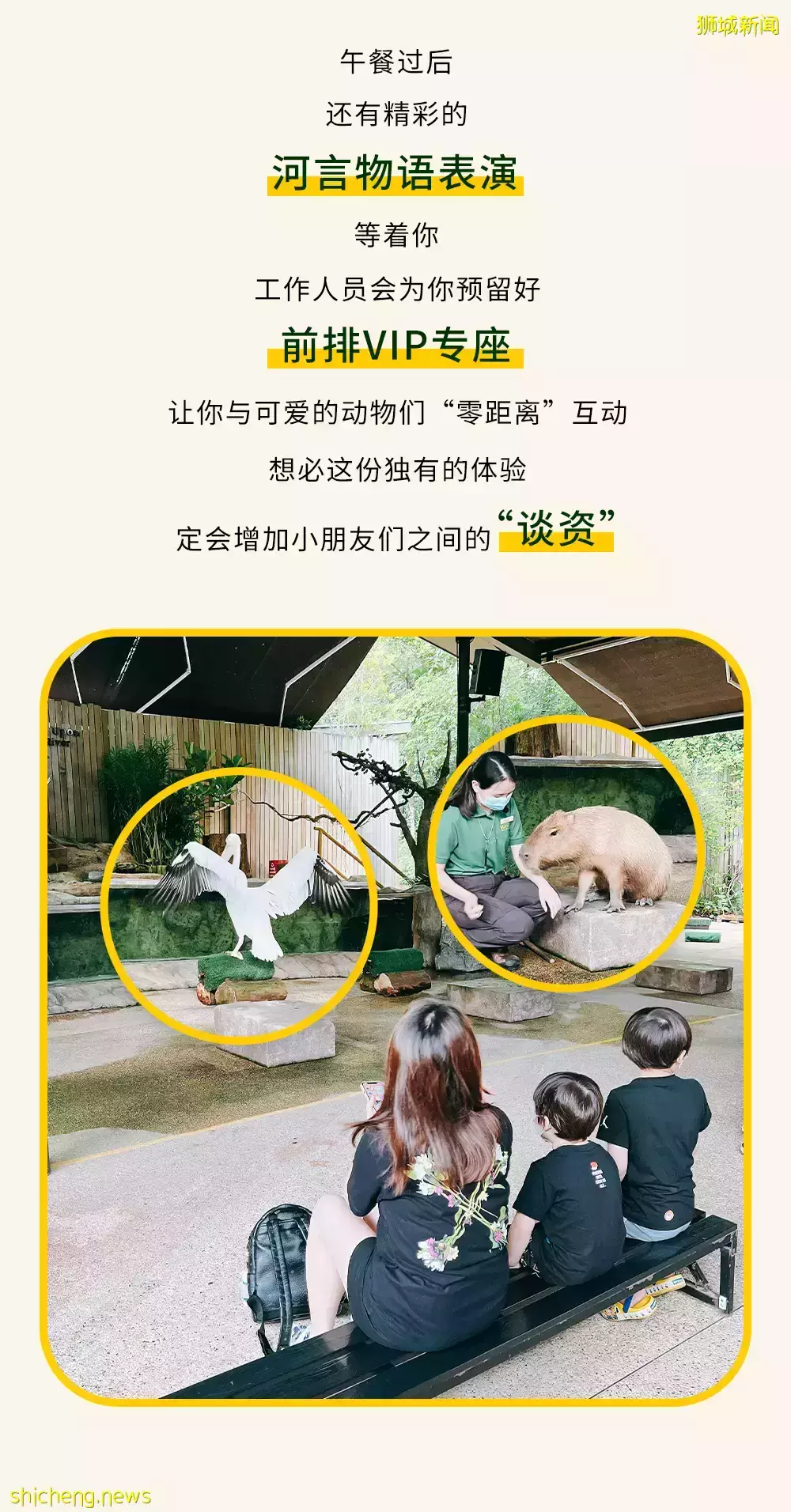 在新加坡河川生态园享受私人导览、“与熊猫共进午餐”是种怎样的体验