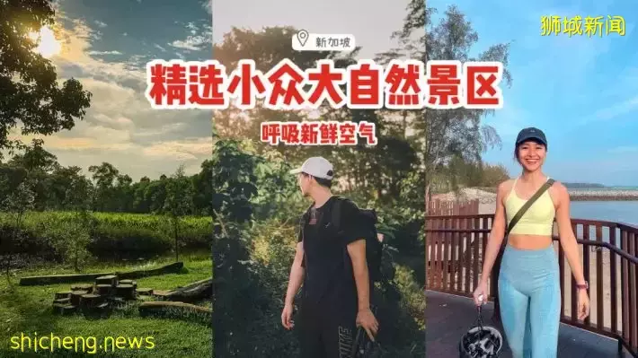 长周末出去走走！精选新加坡小众大自然景区👣漫步骑车、呼吸新鲜空气，有益身心