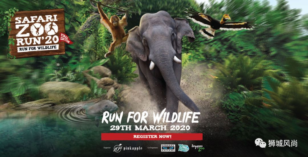 Safari Zoo Run 2020 Is Back With Free Entry To Two Parks