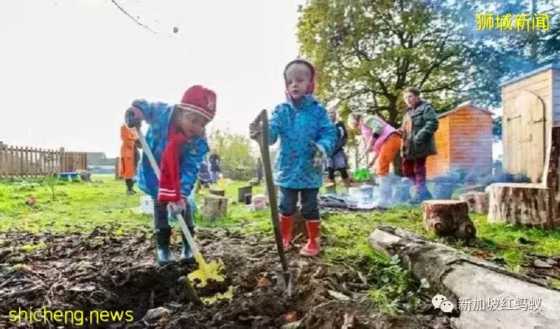 周末不上补习班　越来越多新加坡家长让孩子到户外学爬树和砍柴