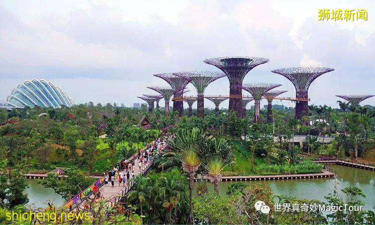 新加坡 帶您走進新加坡濱海灣花園