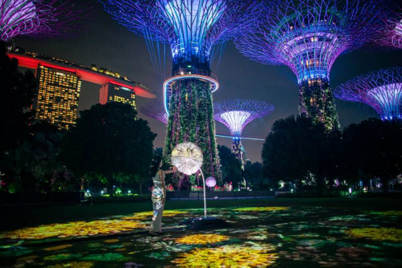 濱海灣花園出現一朵蒲公英，快來打卡