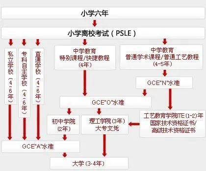 为什么新加坡“O”水准考试是世界名校“黄金跳板”