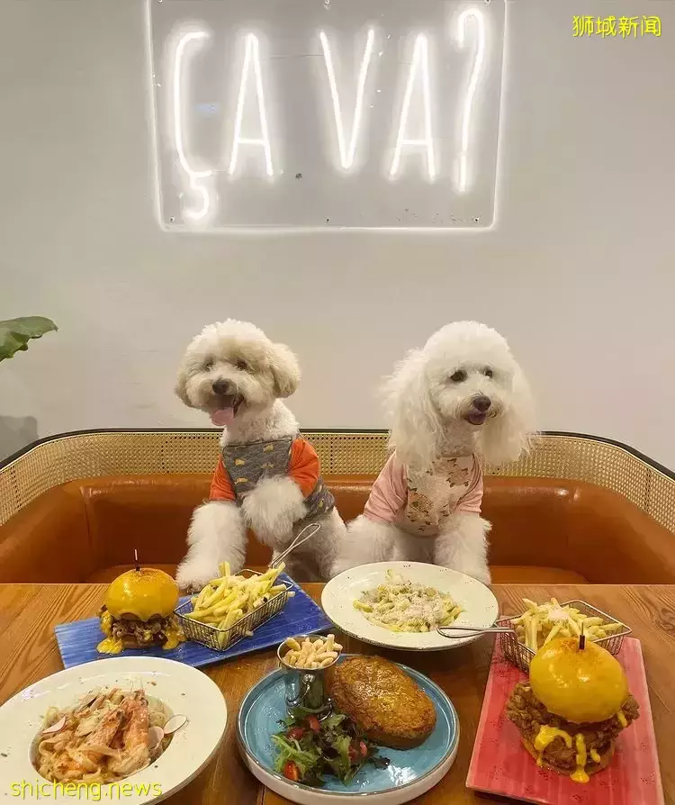 全新寵物友好的Cafe“Cava”🐕戶外用餐區能讓寵物入座！主打西式料理，快來探店咯