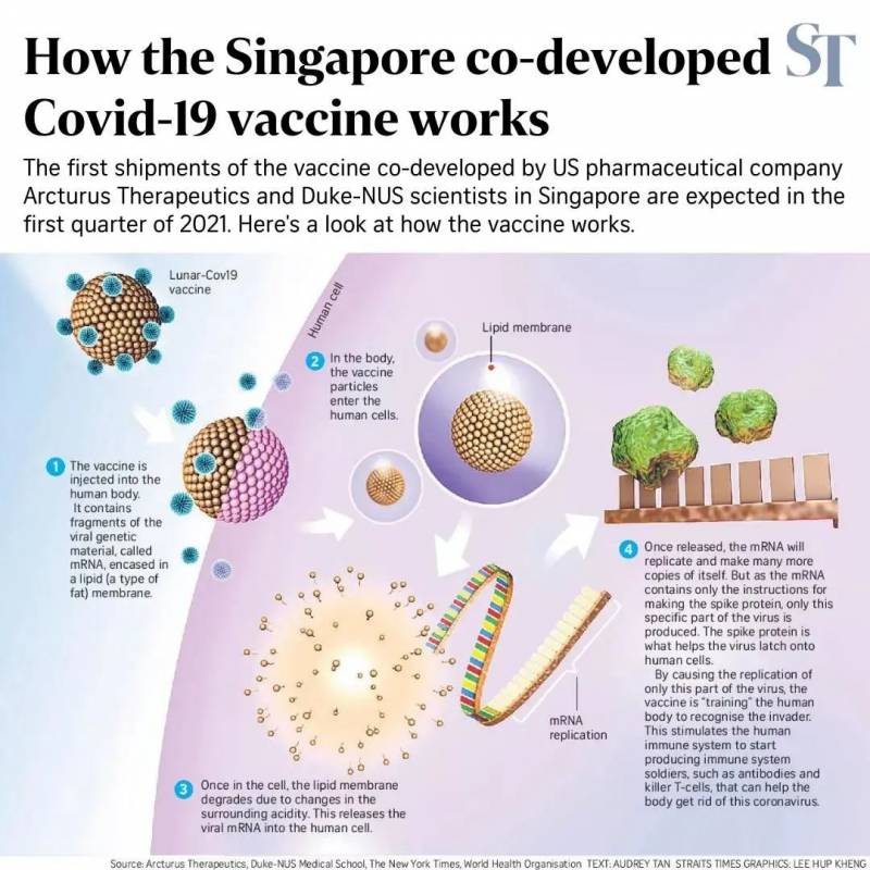 新加坡专家与Arcturus医药公司共同研发，购买首批疫苗最快2021年首季运到