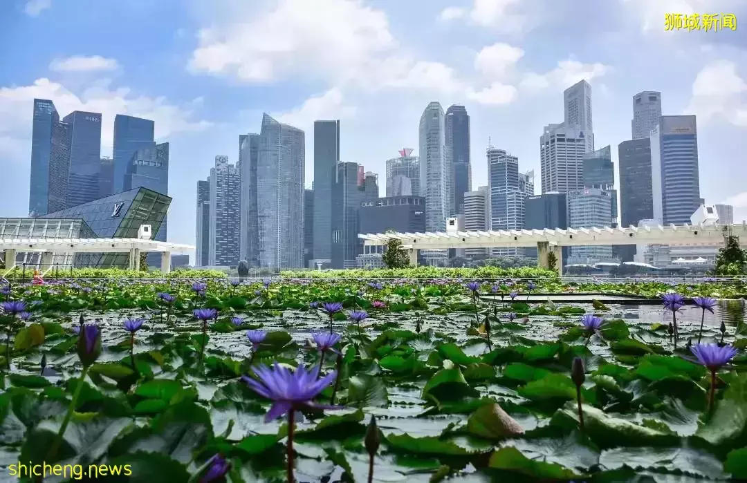 Singapore连续16年蝉联全球最宜居城市