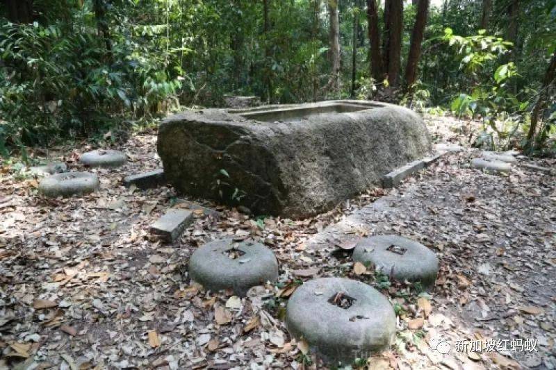 两中学男生为寻找日本神社遗址，在新加坡蓄水池森林迷路“神隐”