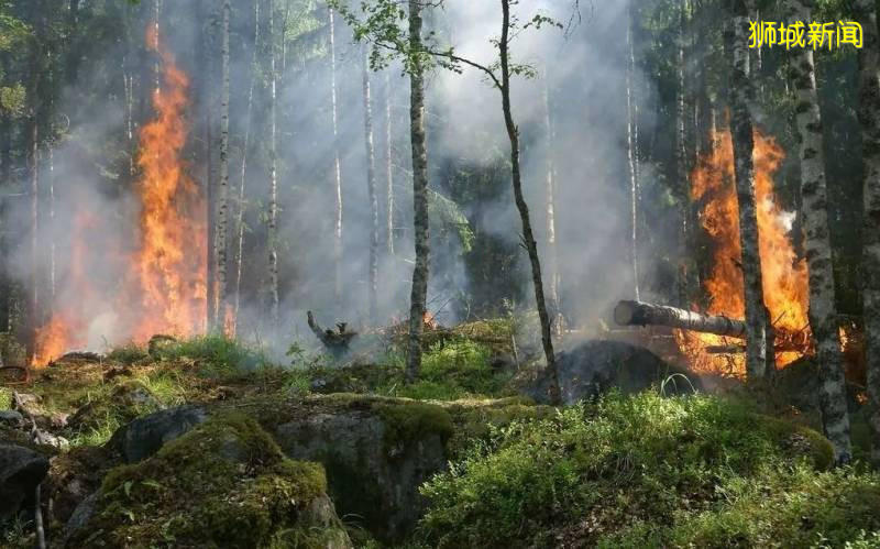 雾霾预警！新加坡的邻国爆发森林大火，口罩要戴到天荒地老