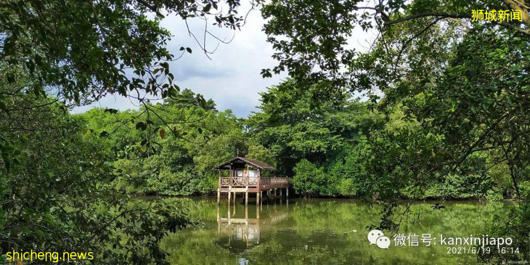 双溪布洛湿地公园，新加坡西部周末休闲的好去处