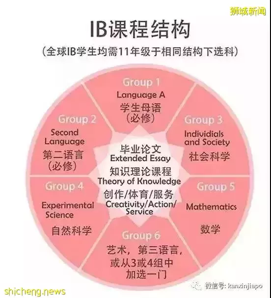 2022年IB成绩出炉，新加坡学校平均分数远超全球平均值