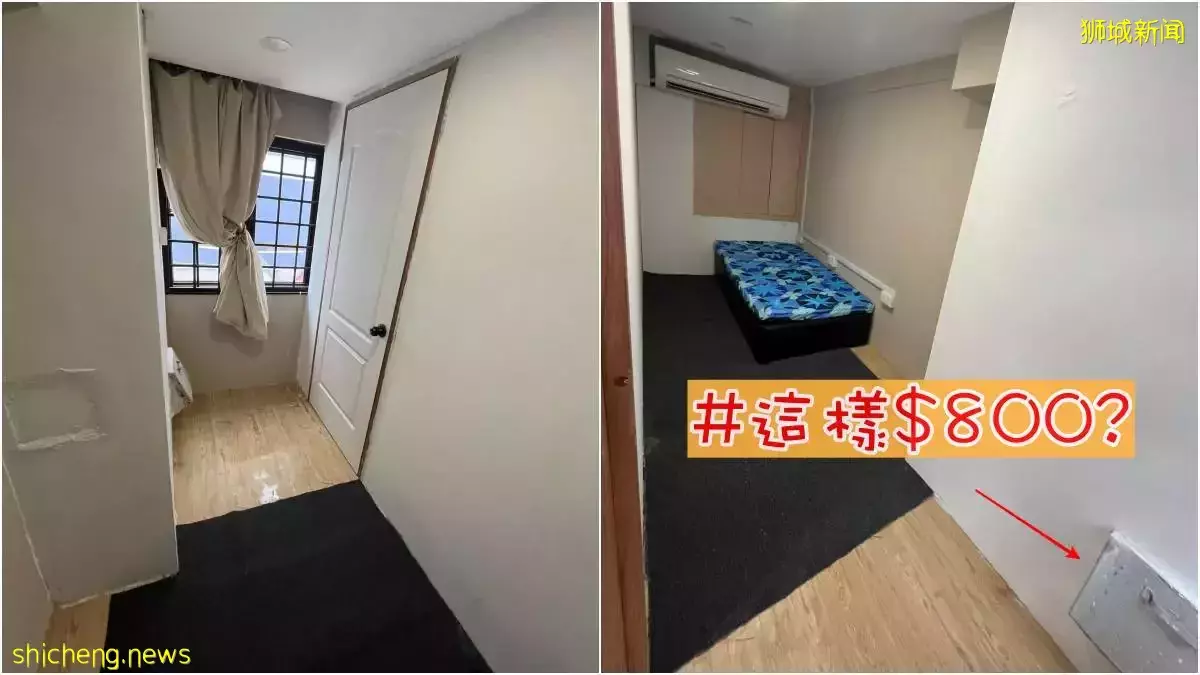 Bedok組屋隔間“含垃圾桶”出租$800, 網民: 這種應該要舉報