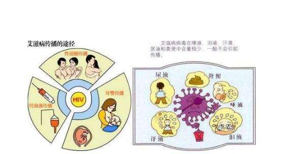 新加坡女孩感染HIV一度放棄希望，後配合治療病毒幾乎滾蛋