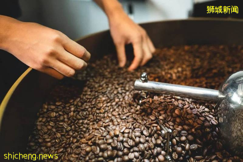 抹茶控但去不了日本？狮城这些抹茶店替你运来最纯正的抹茶