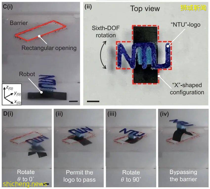 高速灵活！NTU 科学家研发受磁场控制的毫米级机器人
