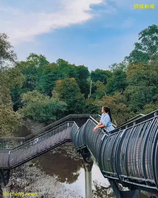 走出钢骨都市，返璞归真特辑🍃精选7大自然景点，带你感受原生态新加坡🌳 