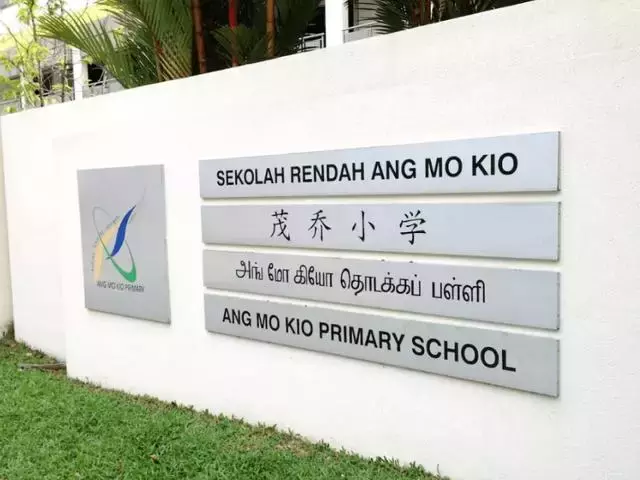 新加坡为啥会“抵制”汉语？原因很现实，学生却表示不理解