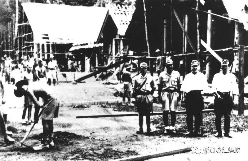 两中学男生为寻找日本神社遗址，在新加坡蓄水池森林迷路“神隐”