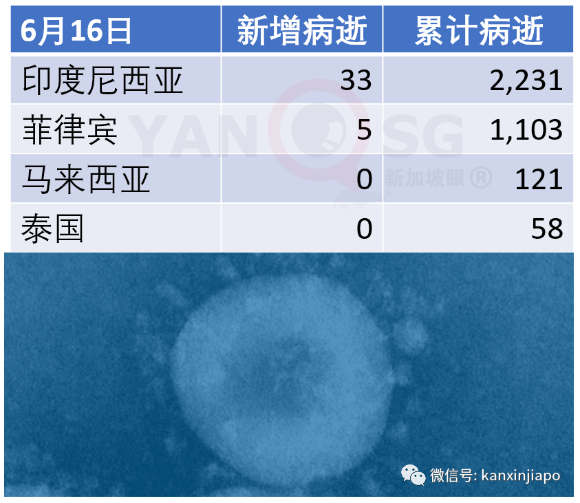 今增X，累计X｜新加坡入选“全球最具竞争力国家”