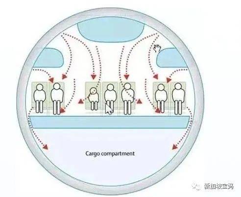 疫情期间从新加坡带孩子回国是怎样的一种体验