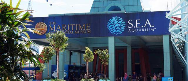 全世界最大的海洋馆！就藏在新加坡圣淘沙岛