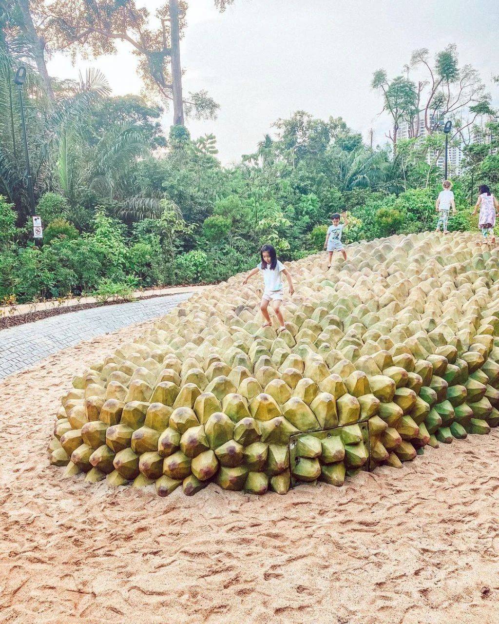 新加坡植物园爆火新景点，不知道怎么去？手把手教你游玩攻略