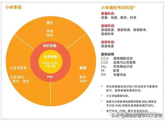 來新加坡讀政府小學，這些內容一定要知道