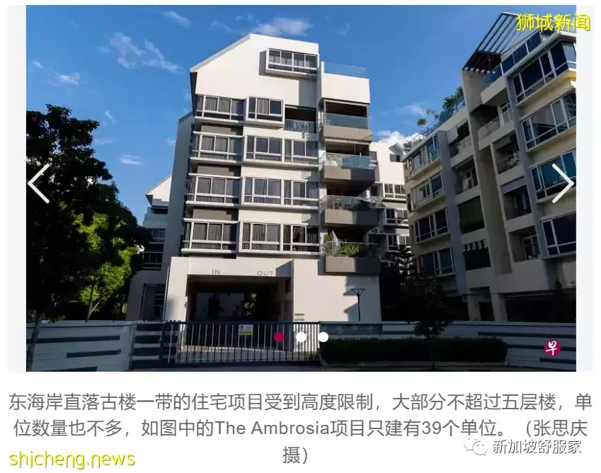 新加坡别墅区低楼层(low rise condo)小型公寓备受年轻买家青睐