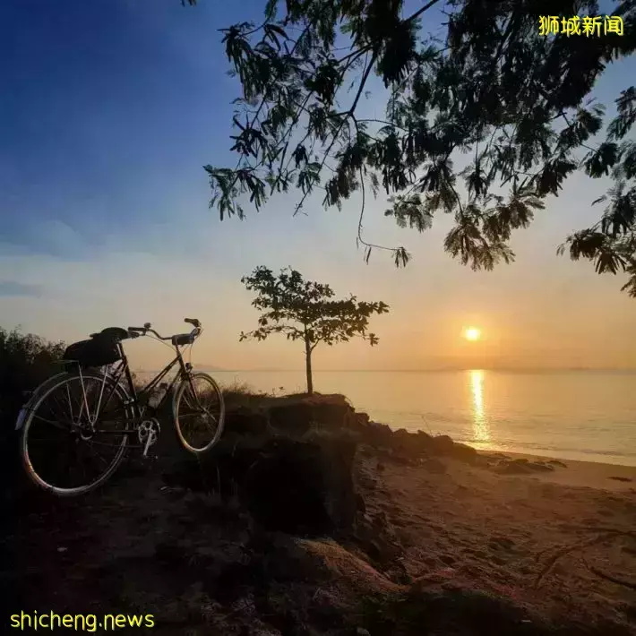 避开人潮！东部宝藏新去处Changi Bay Point！超美海景+海风骑行路线 