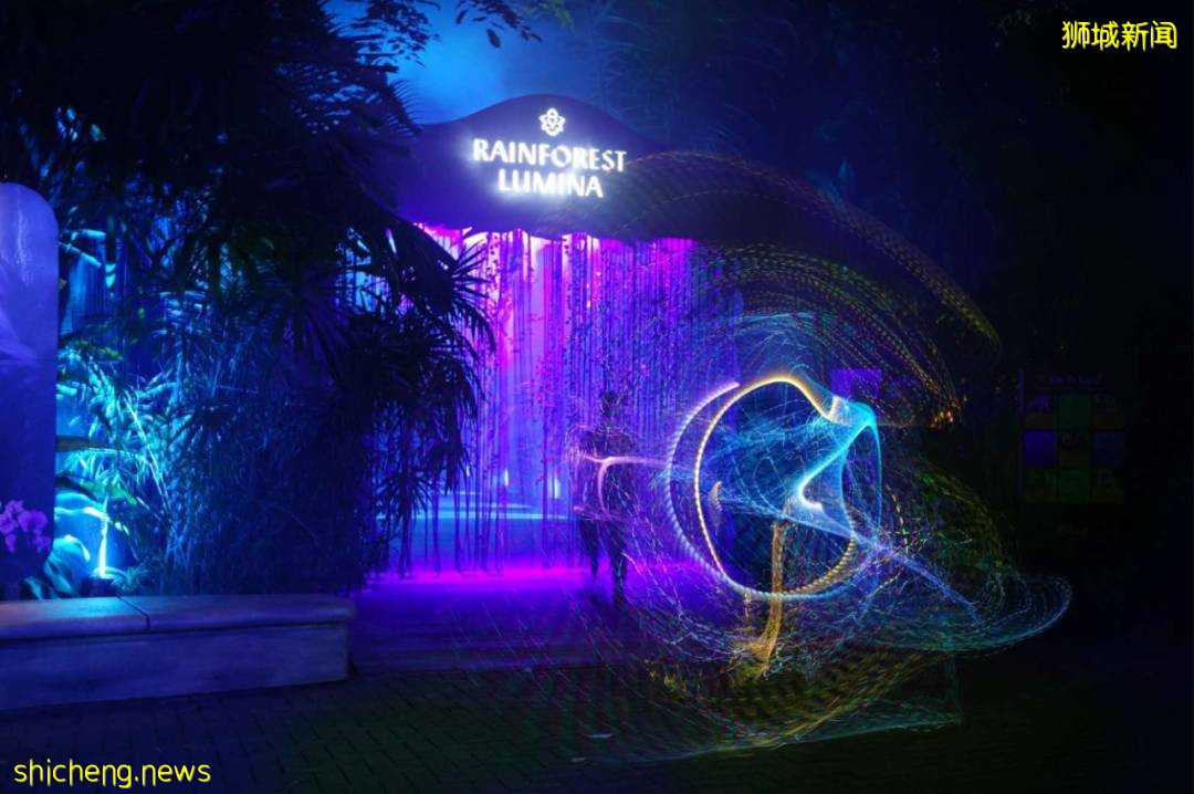 ‘幻光雨林之夜’再次登錄動物園，靈動大自然與光影魅力的交彙，最後一季不可錯過