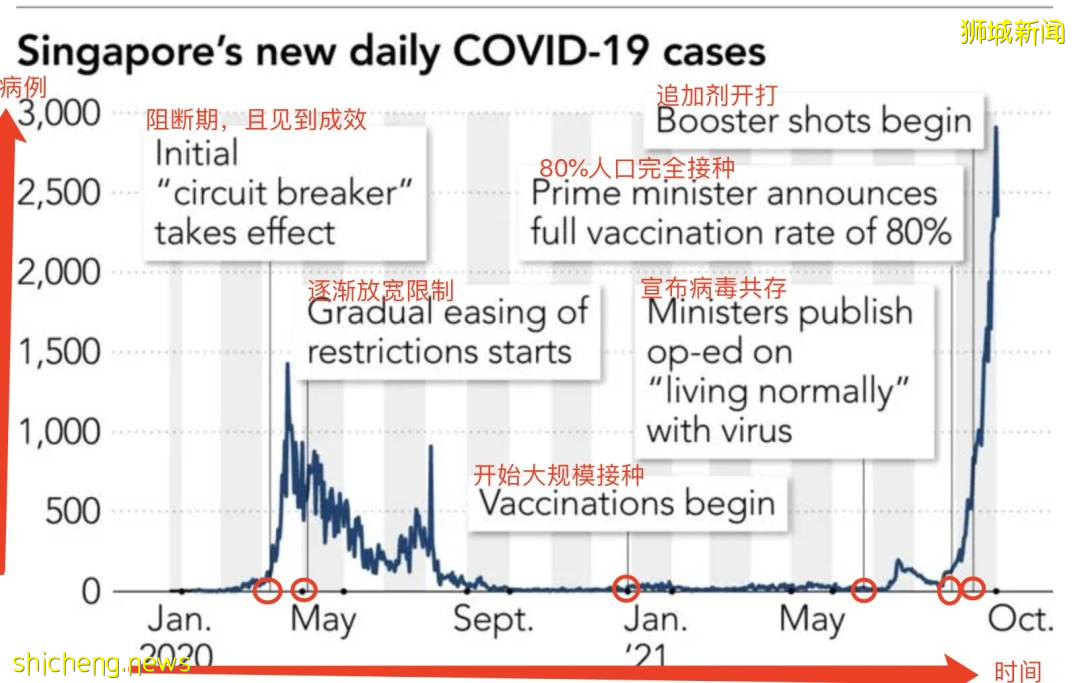 最新分析！新加坡日增病例什么时候下降？专家：为开放，需接受每天6例死亡