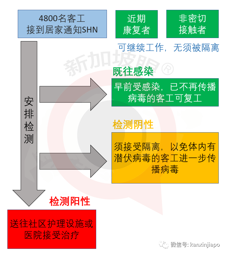 新增XXXX累计YYYY| 死灰复燃，新加坡连续两天出现客工宿舍新感染群