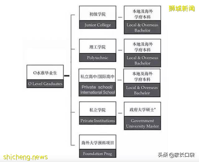 分流狂魔！新加坡如何穩坐亞洲頂尖教育寶座卻不內卷