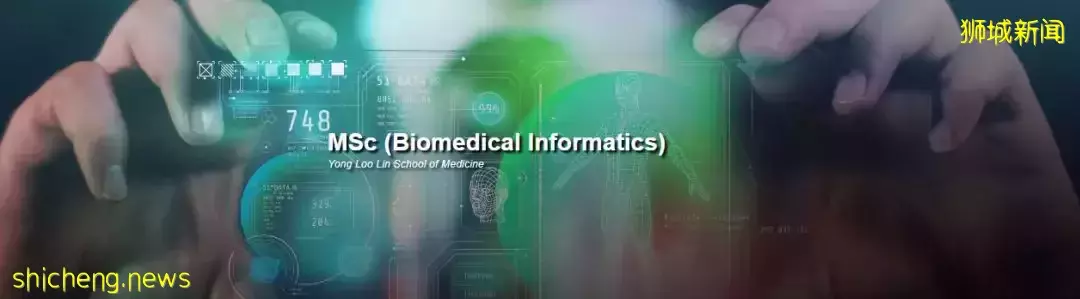 新加坡国立大学 新增生物医学信息学硕士，5月31日申请截止