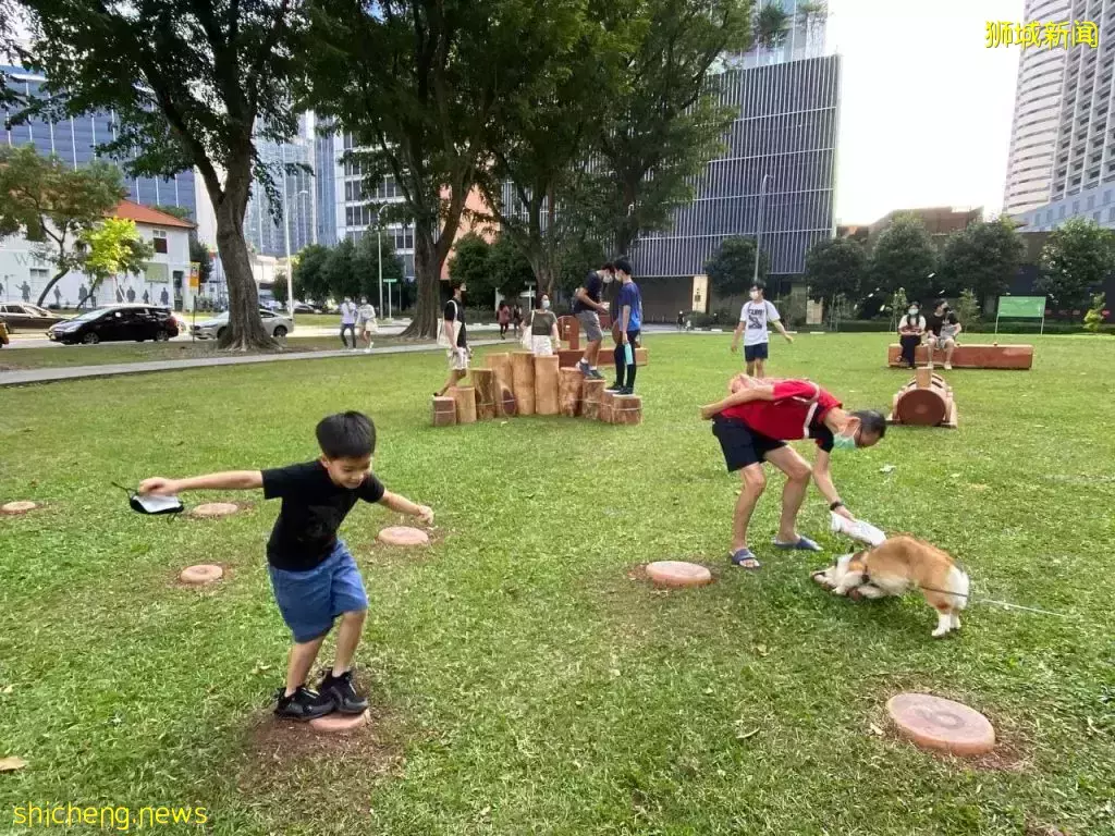 小空地大改造！丹戎巴葛全新生态游乐场🌳小朋友可以尽情玩耍，还能带狗狗前来自由狂奔👣 