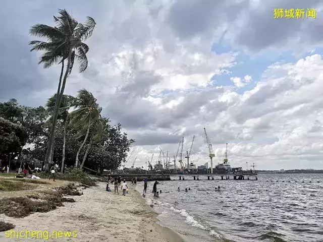 新加坡這些公園太美了！與大自然擁抱，和海浪、飛機、星空入睡