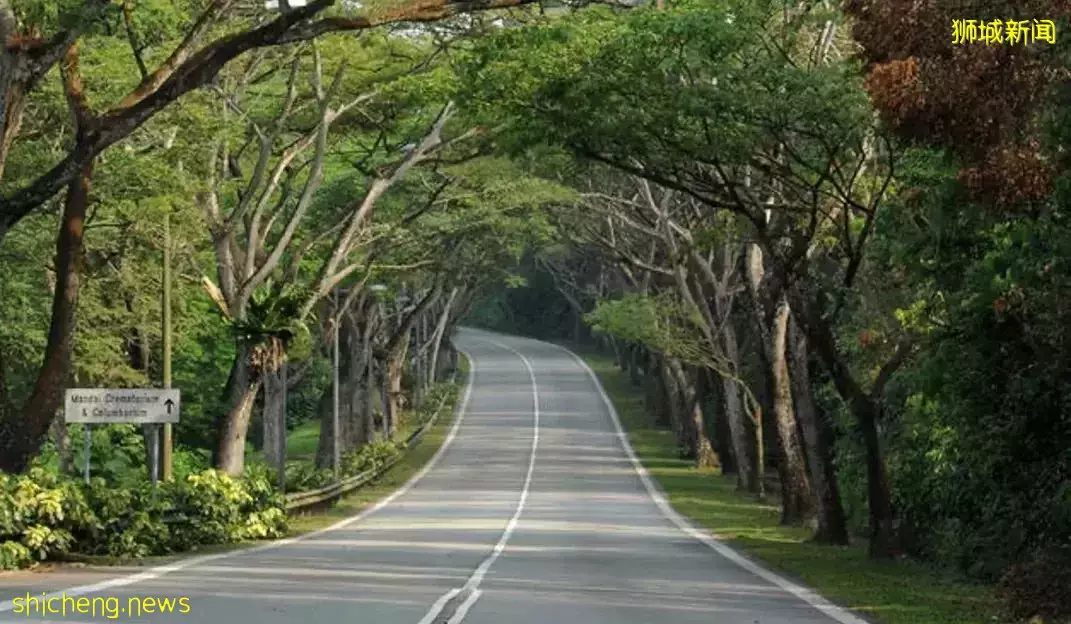 翼新特荐：市区顶级豪宅