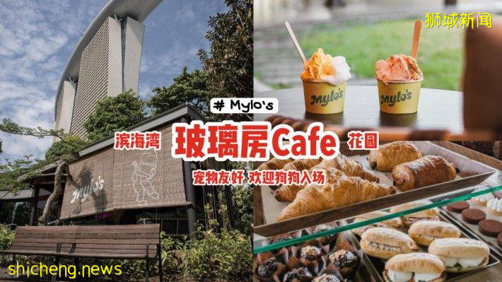 濱海灣花園新玻璃房Cafe“Mylo's”✨手作Gelato味道純正、防暑解熱必備🍨寵物友好、提供狗狗零食🦮