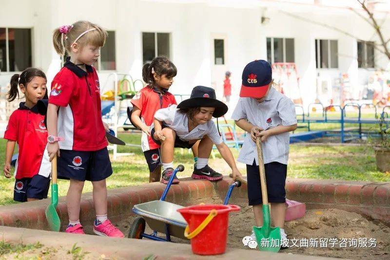 新加坡加拿大国际学校  Canadian International School