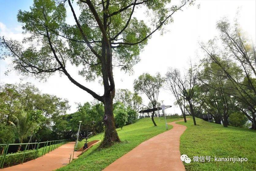 新加坡有新鄰裏公園！刺激旋轉滑梯，超好玩