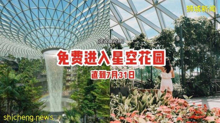 限时免费进入Canopy Park！凭当日消费收据、兑换门票🎫每日限前500个名额、直到7月31日