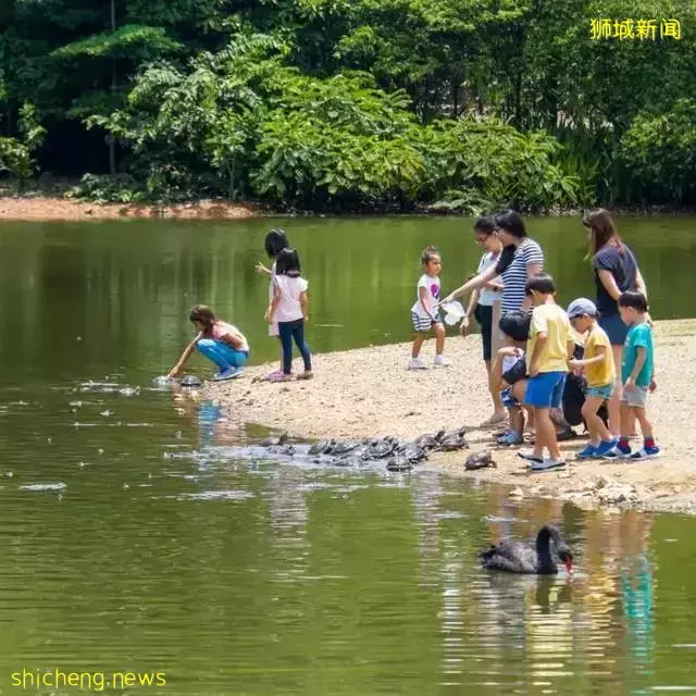 新加坡资讯与分享：城市就是花园，花园就是城市，新加坡的发展策略（二）