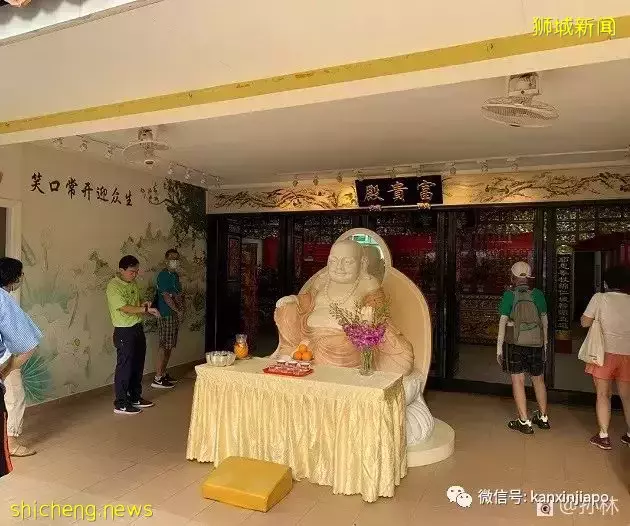 来芽笼吧！这里有很多秘密等你来发掘